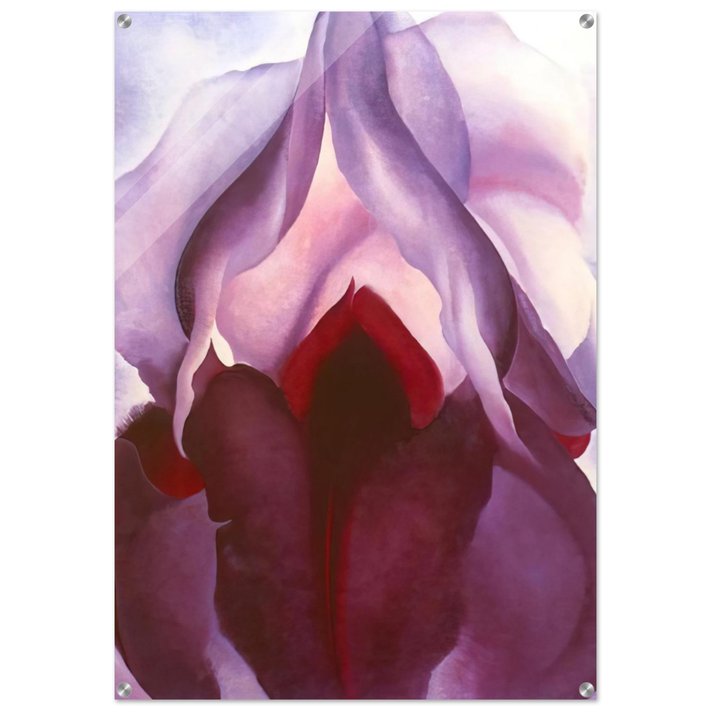 886992cd-e925-4bfe-b835-c7cc1f16a0dc