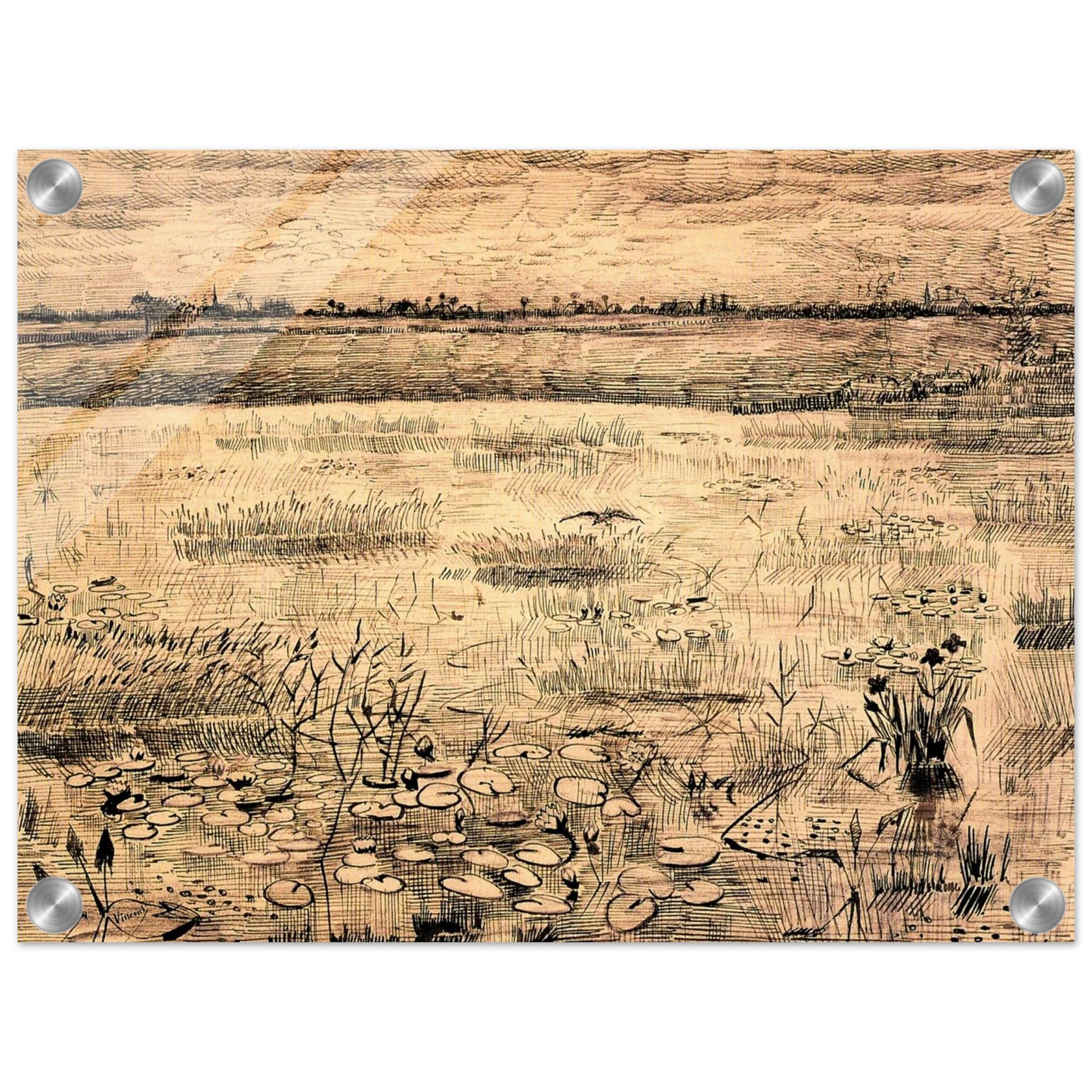 887674f0-2f1f-43f6-bae5-8b3fa5f39a93