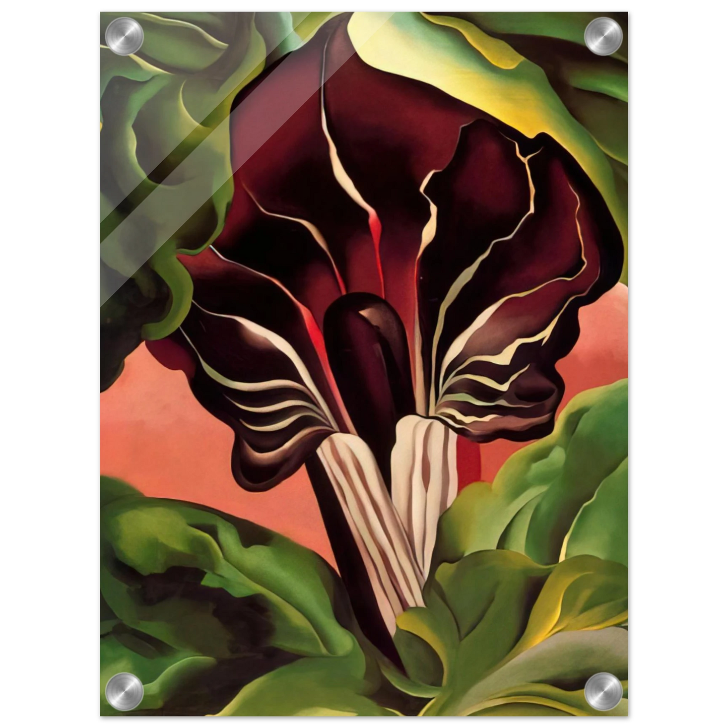 889a1e3b-ac8b-4c40-952e-41889ede450c