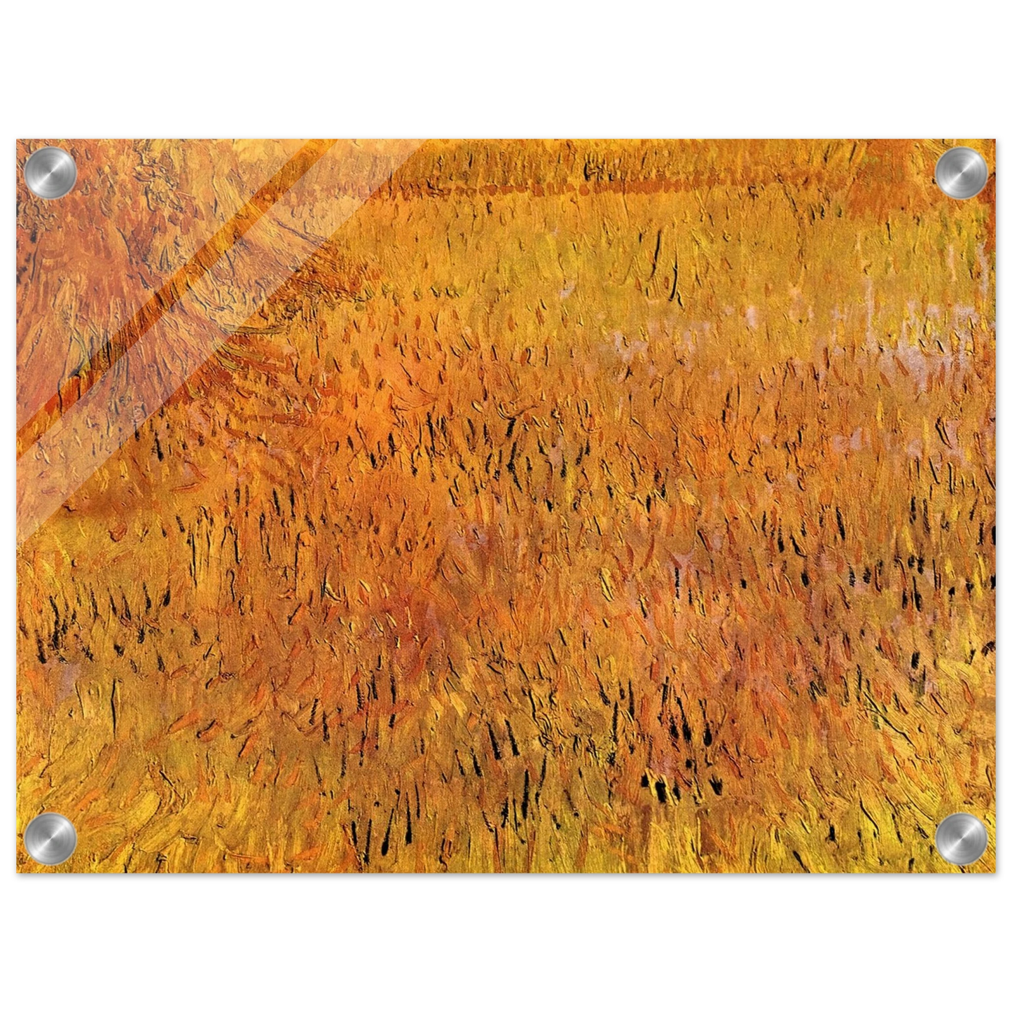 88b58710-f061-44e0-8e33-24e86b6d68fb