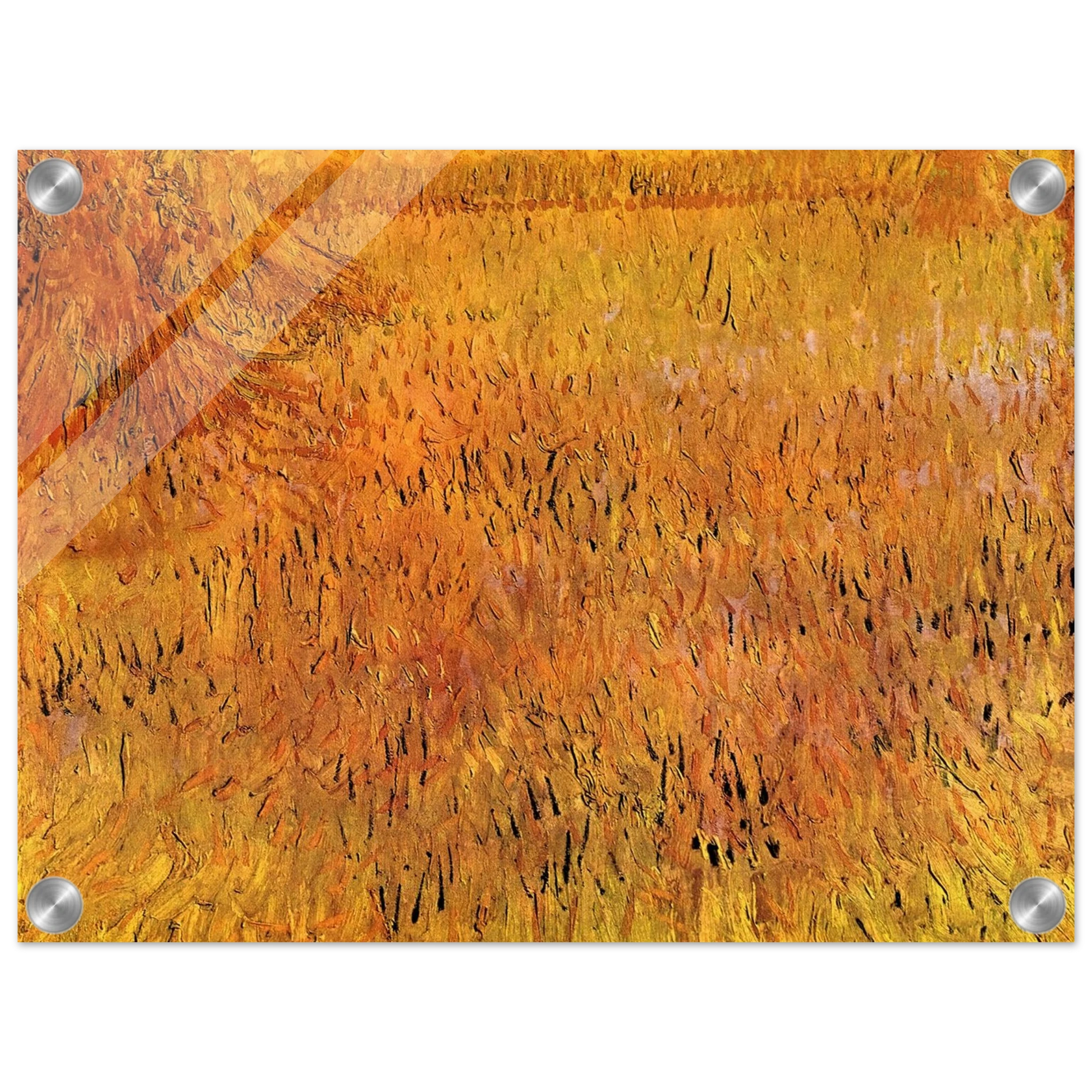 88b58710-f061-44e0-8e33-24e86b6d68fb