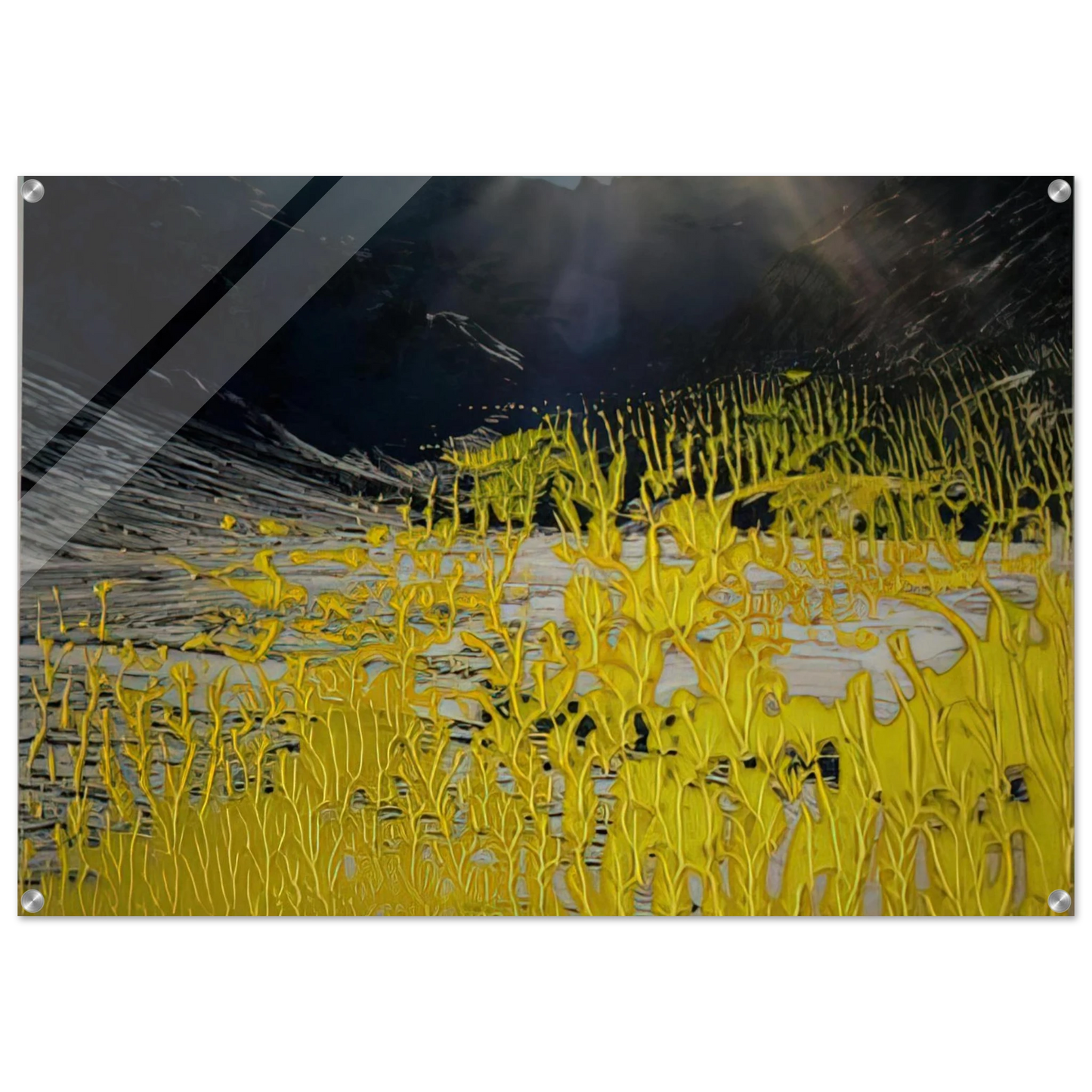 8955dd1f-3480-4103-bea0-5498148c63b5