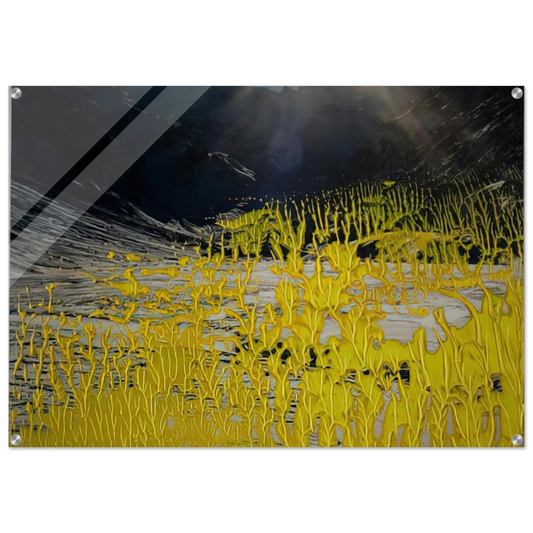 8955dd1f-3480-4103-bea0-5498148c63b5