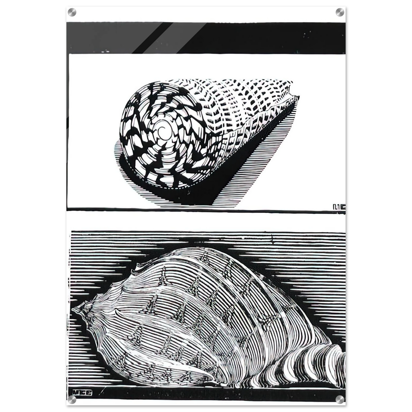 8a261bc6-6a15-4b05-94c5-849dbba839ca