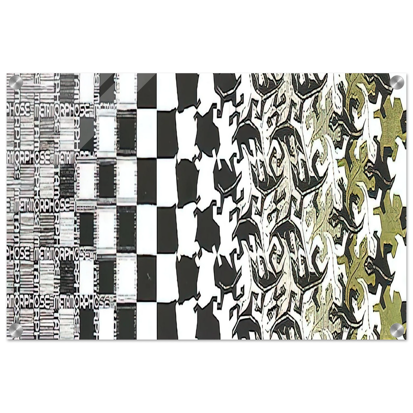 8b7d52fe-52e4-40dc-be00-497fbd98bc62