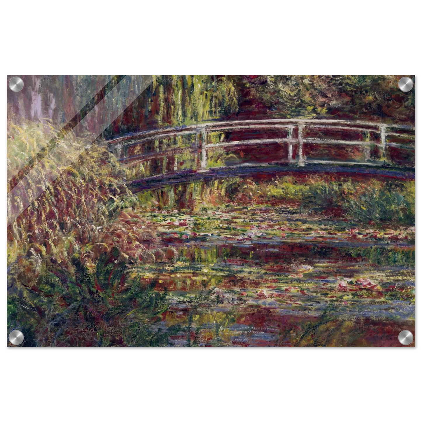 8c5d4d01-1e6e-46d2-8f73-b48d2c924169