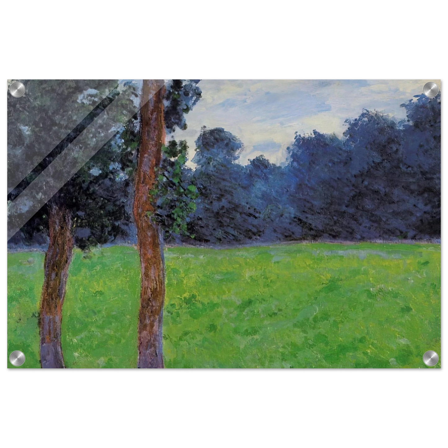 8c97cb04-ef98-4b7f-92f1-f6c5c62d24ab