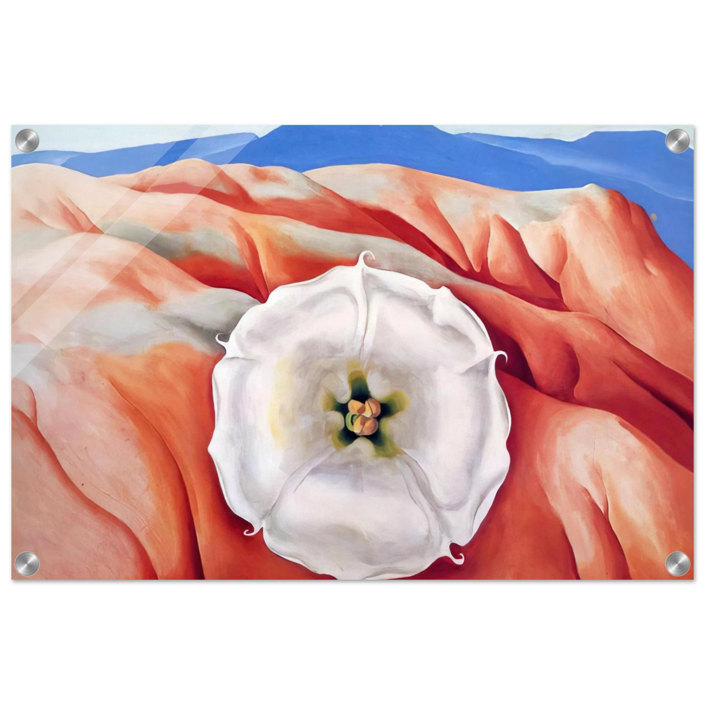 8d31ba1f-5253-455e-928e-dbd01320acf3