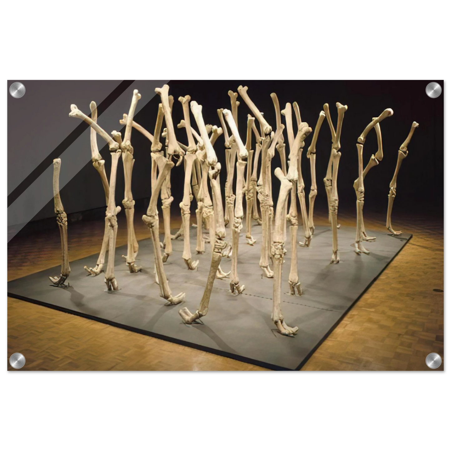 8d8aef36-b48b-46c7-8135-ccb03a6ebf67