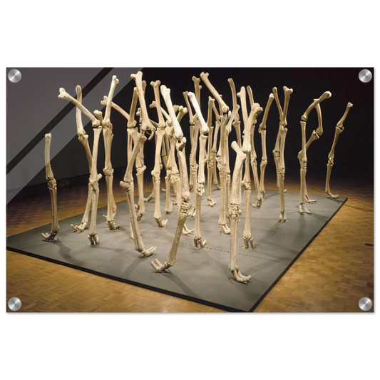 8d8aef36-b48b-46c7-8135-ccb03a6ebf67