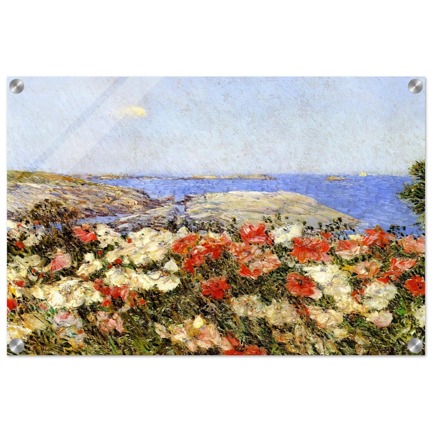 8dab0732-0748-4264-97a6-3b61e5fdf881