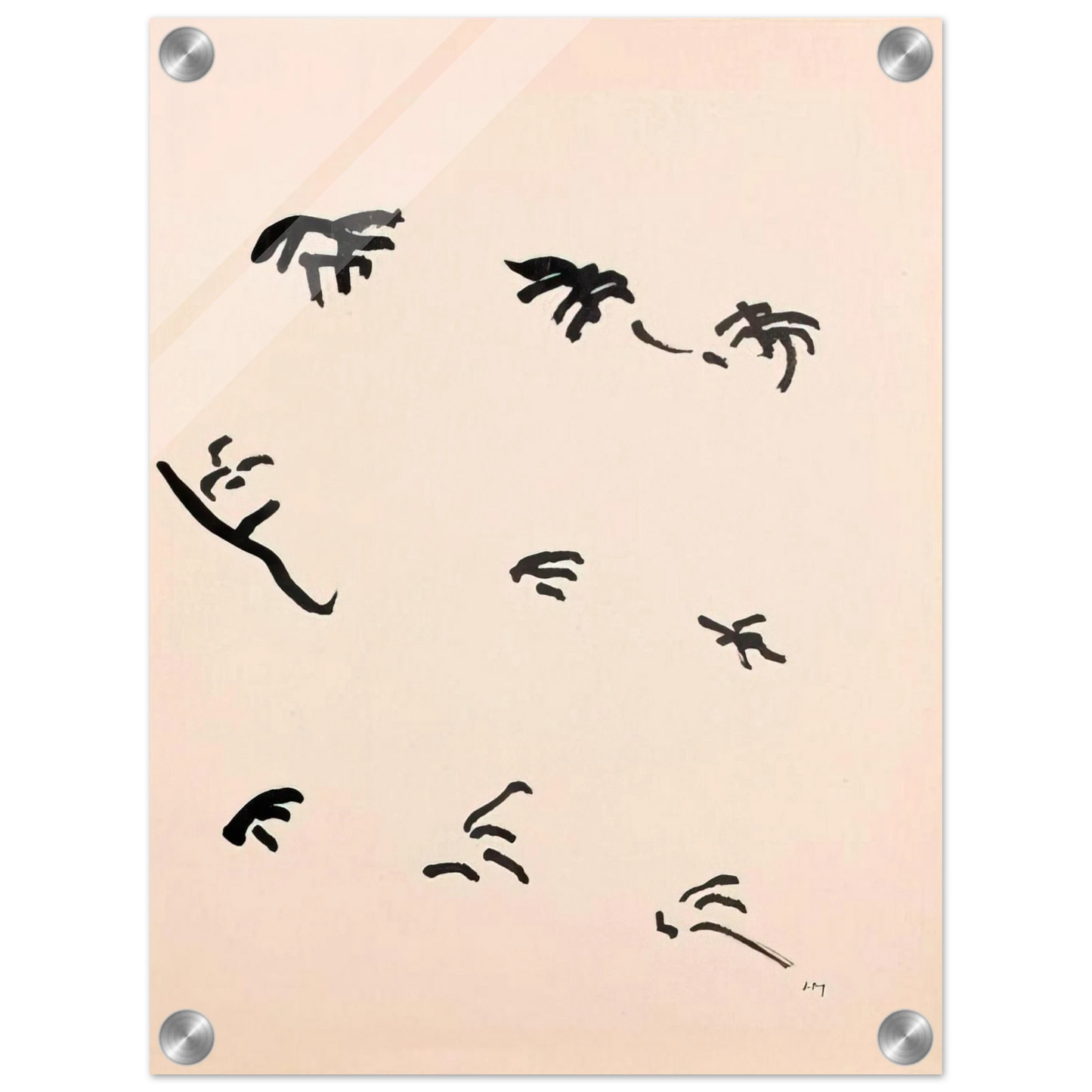 8f474d1f-602c-4300-9cb6-90736f295569