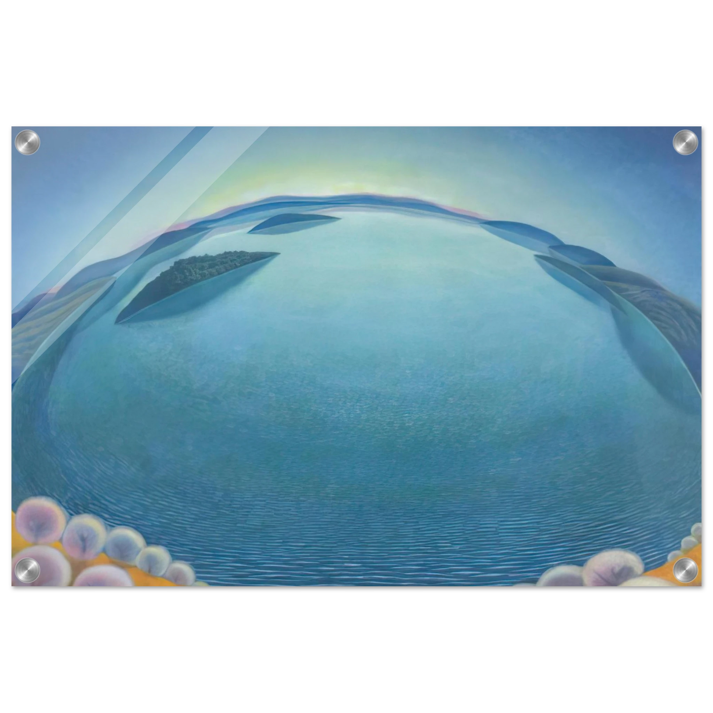 8fc20546-731e-4ab0-811a-9106b673a965