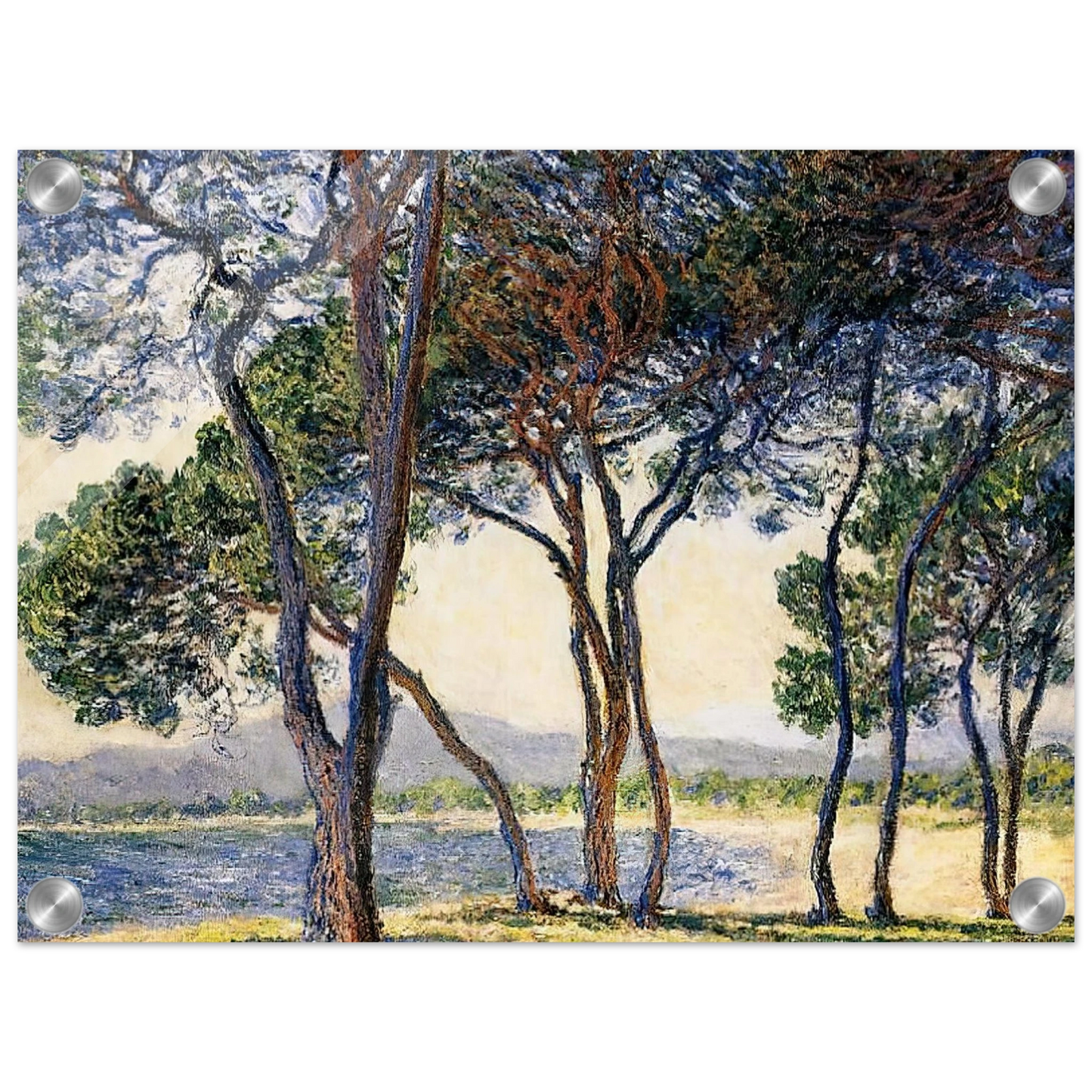 9010b7d8-ff59-49c8-96c0-7464dae32a27