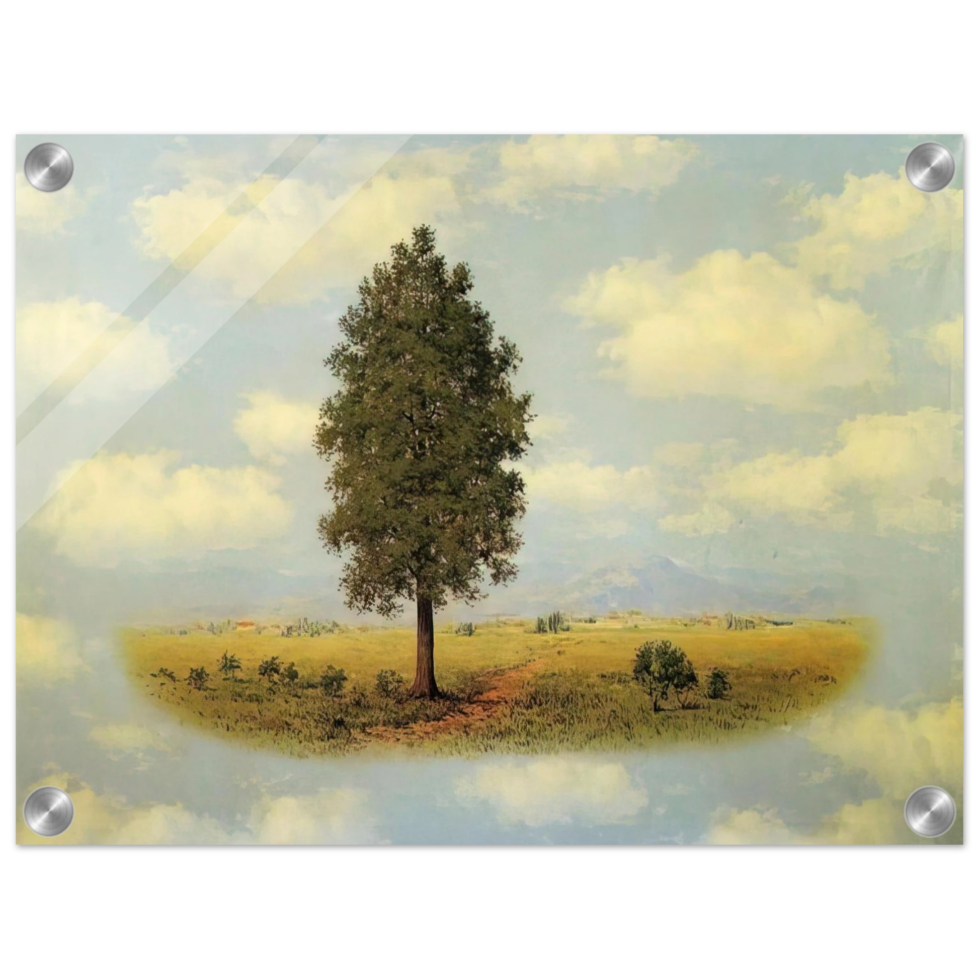 919048c0-7d38-4188-b6a9-427350245209