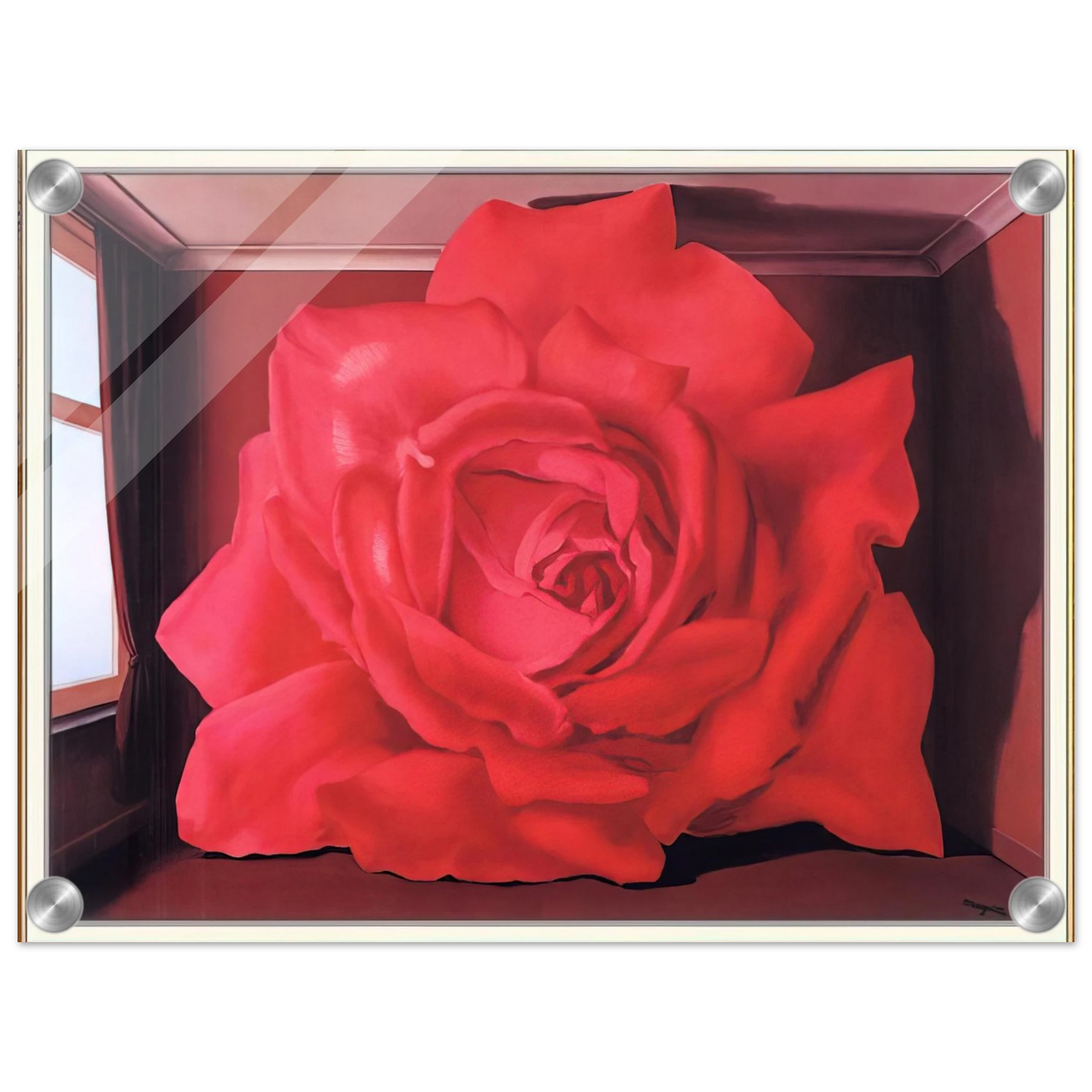 929ff66e-23ab-484f-bace-618c76f8172a