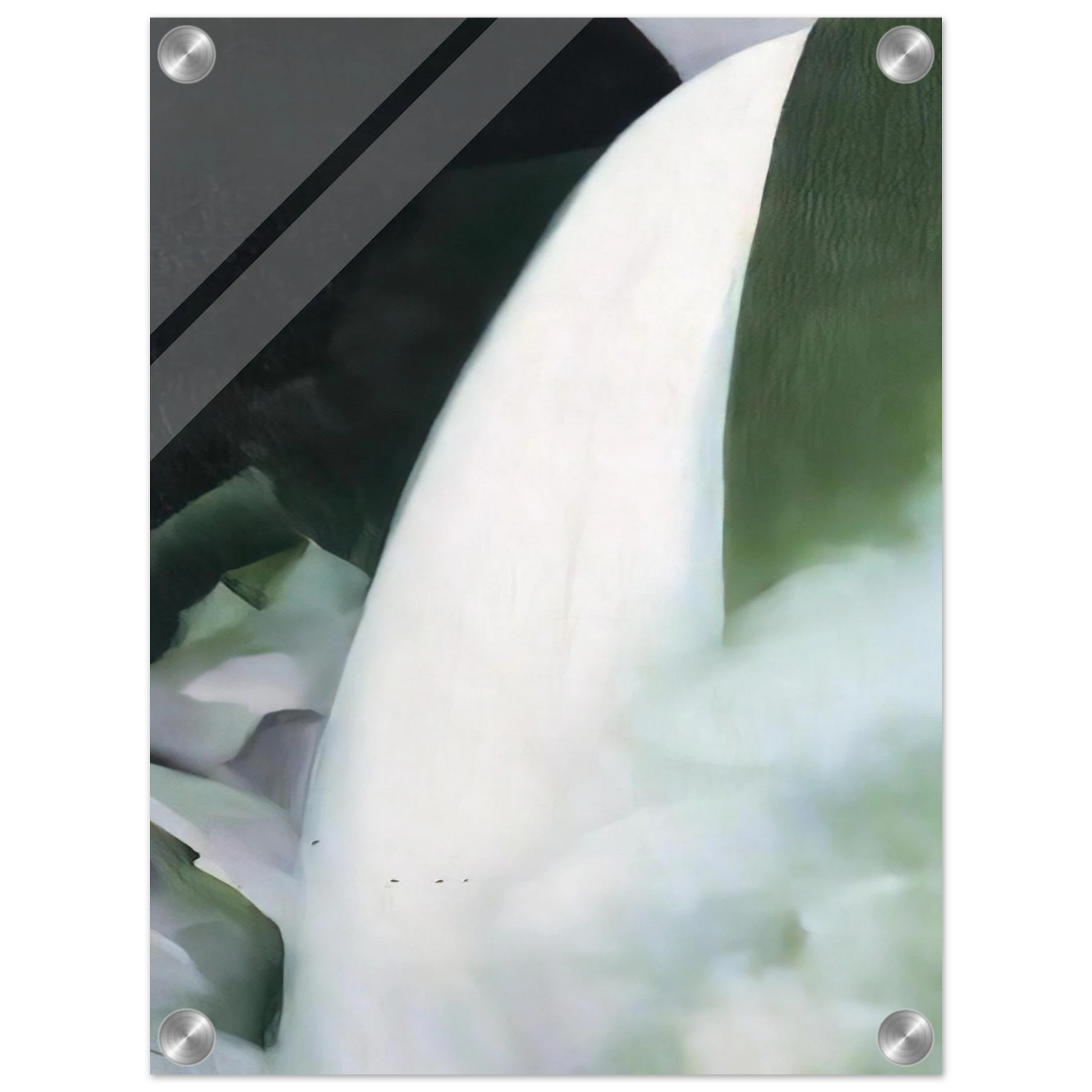 92ee4c1f-033a-4ac4-8aed-9bad51b2bef3