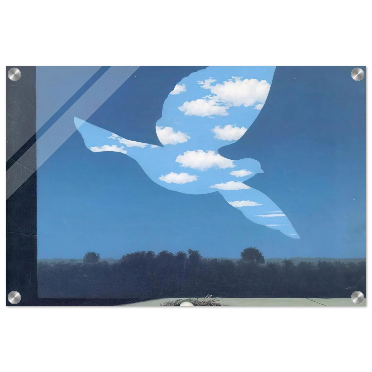 95f6dde9-a4c6-45d2-a884-f249f46422c4