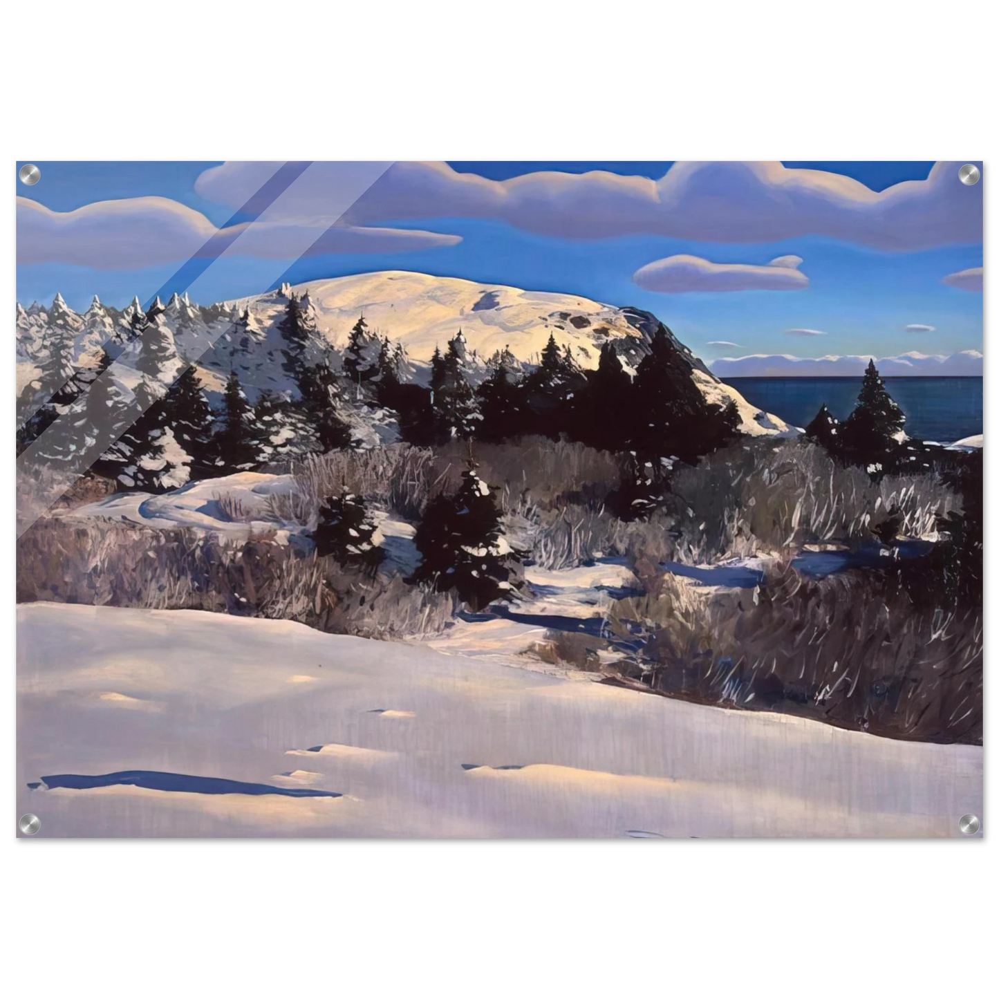 96b2e7fe-c611-4139-9552-fed92965fbbc