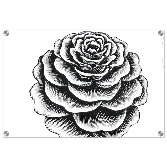 98448398-cb2d-4353-bb9f-23ecee4dabee