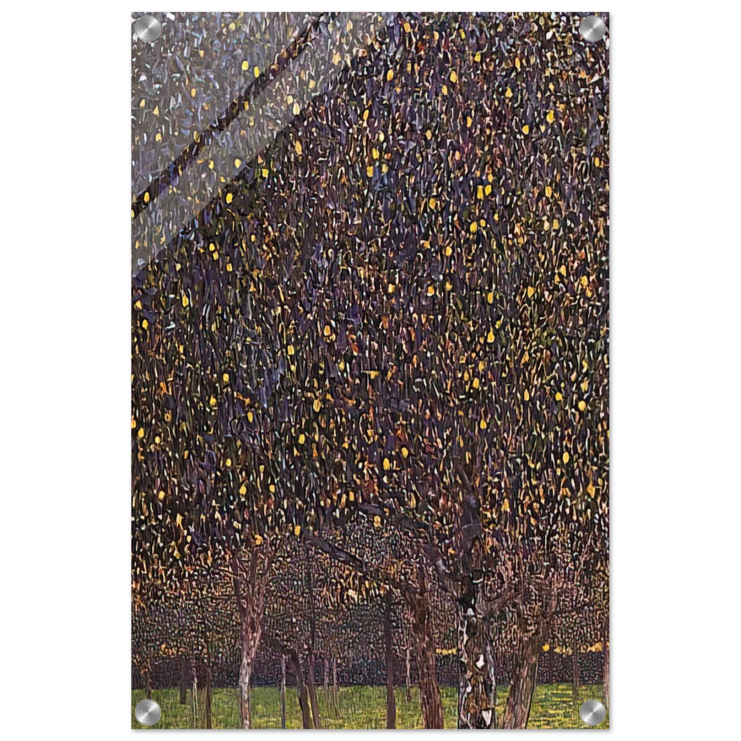 9a8cd582-44a0-4834-92e4-21b592a9312f