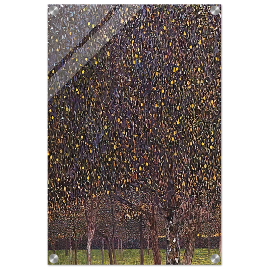 9a8cd582-44a0-4834-92e4-21b592a9312f