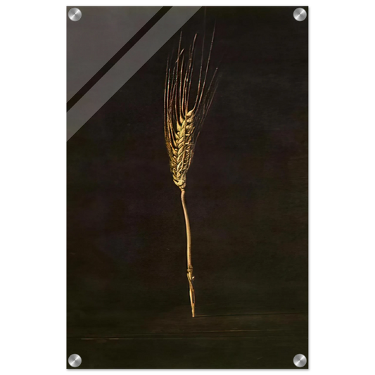 9b0e3c22-0a99-4acb-bb96-71199b59e2af