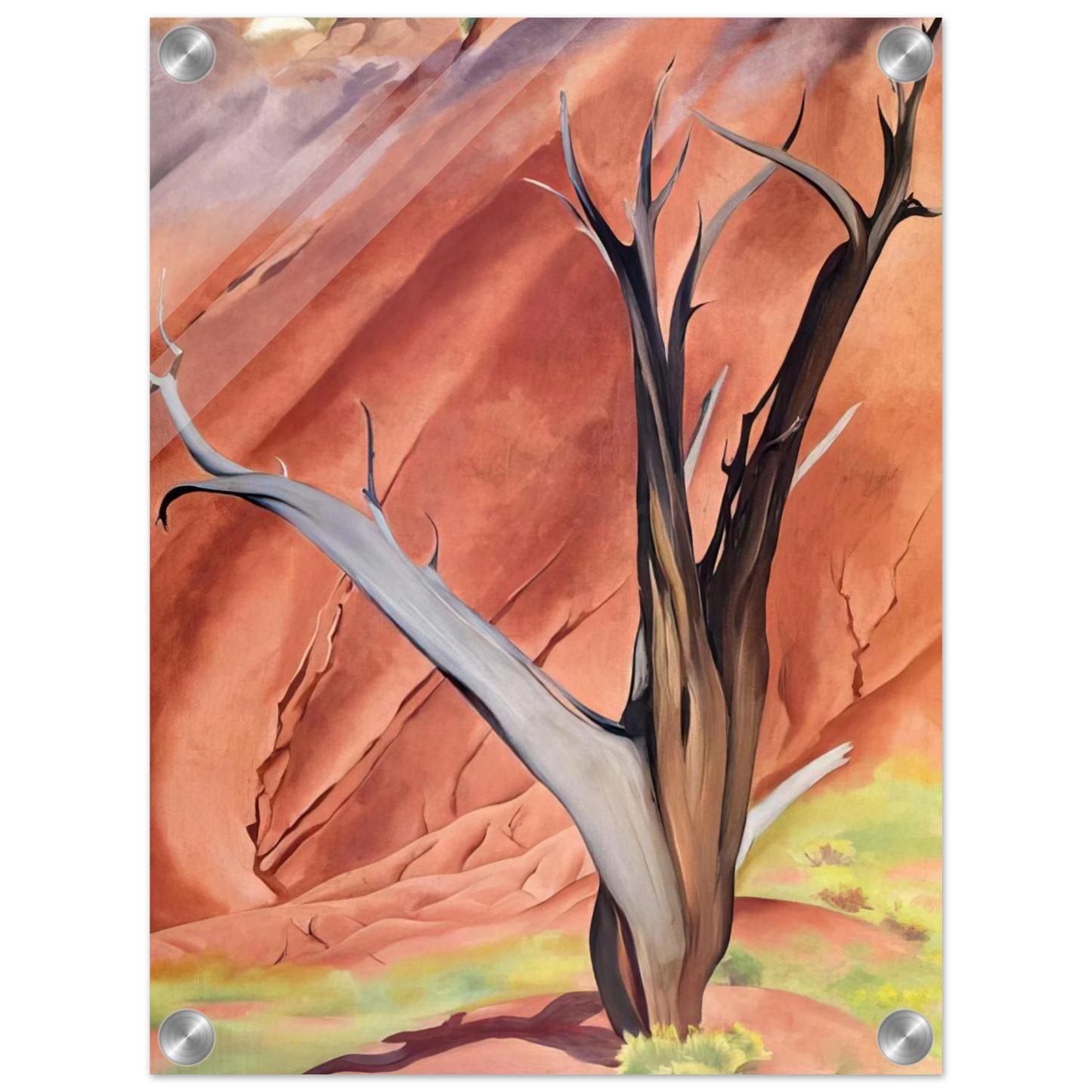 9b1903d3-3311-41a9-bd40-a8af6a5746a7