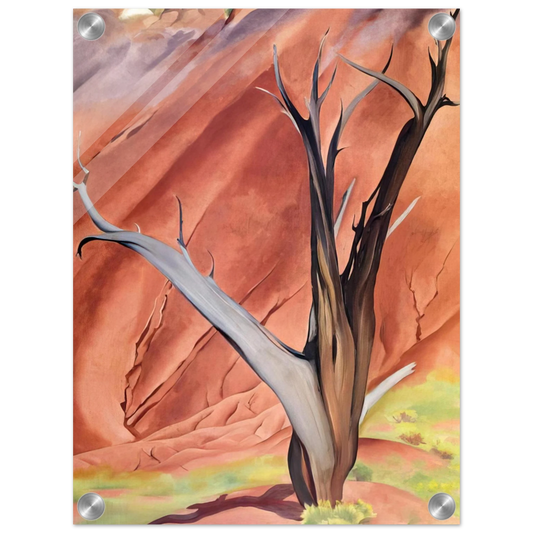 9b1903d3-3311-41a9-bd40-a8af6a5746a7