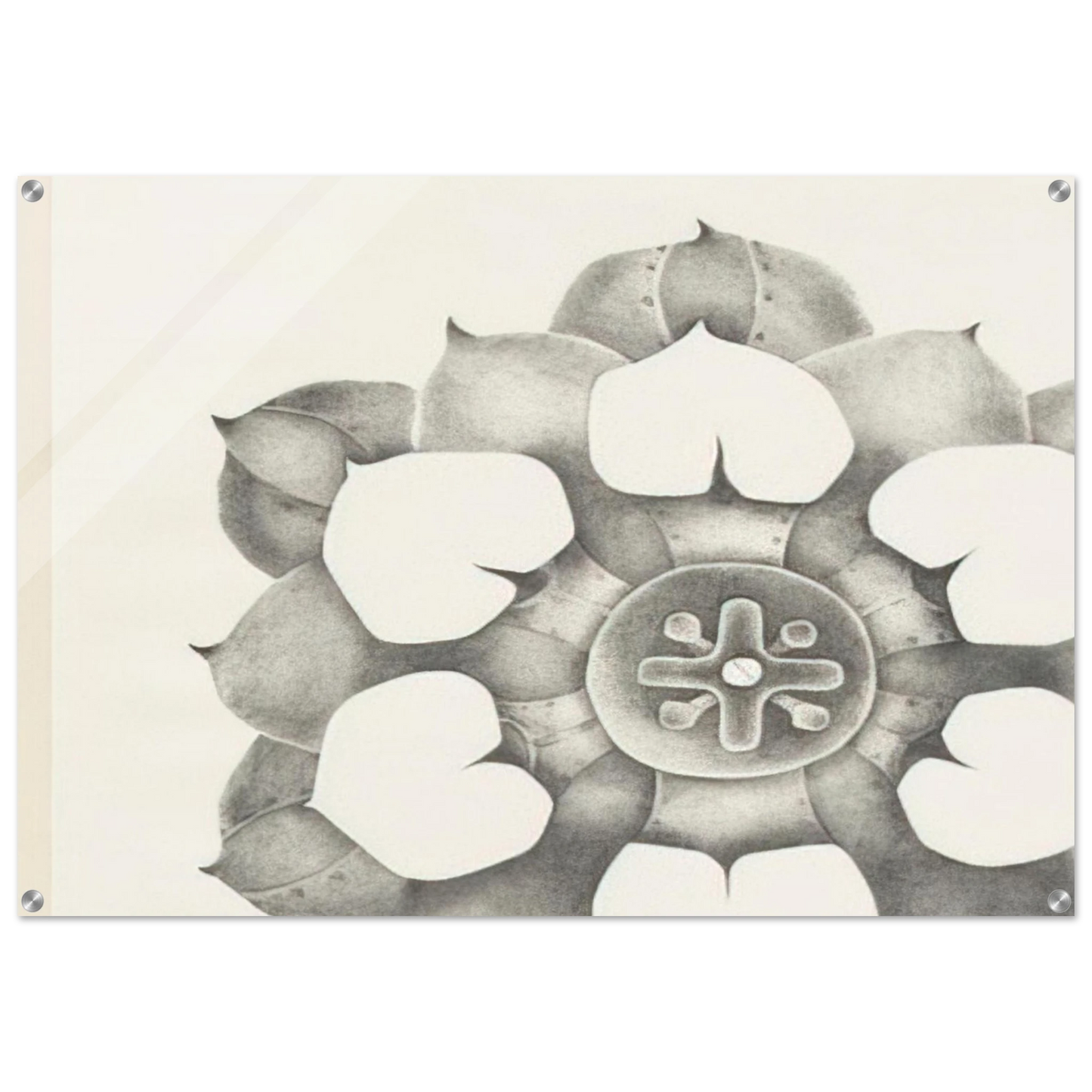 9cc4df6c-a371-4d32-8079-a035a27ca4b1