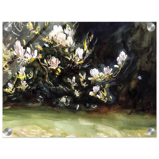 9d218205-8277-4628-91da-5867d4efa387