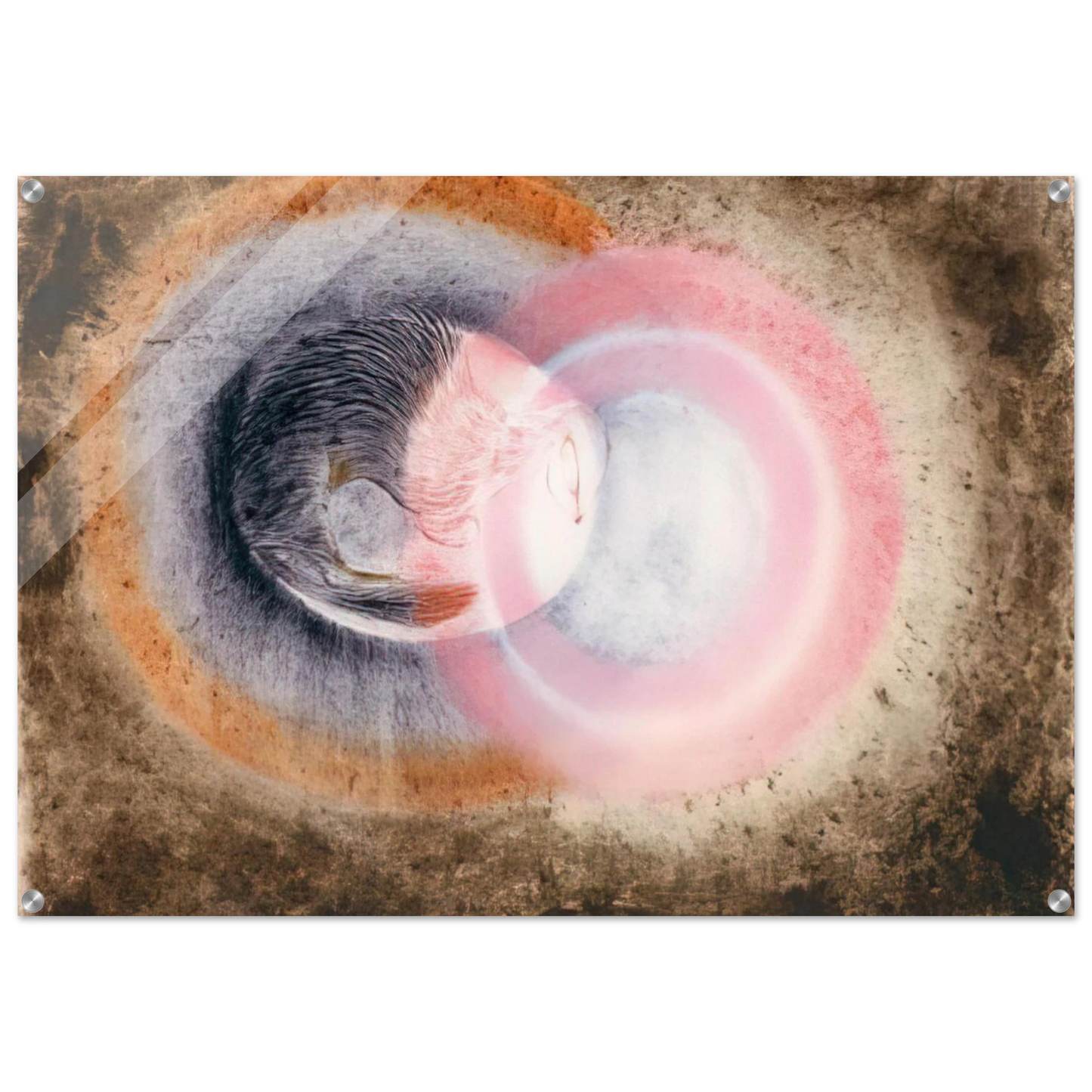 a11ae702-1085-4d7f-9cd3-8426dd0f34c5