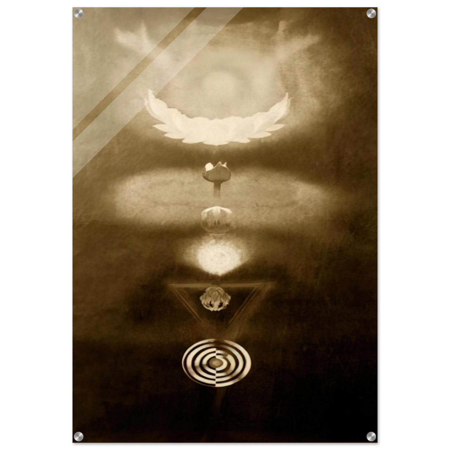 a1cf8ee5-7c94-4019-a8a0-2921ce9390b0