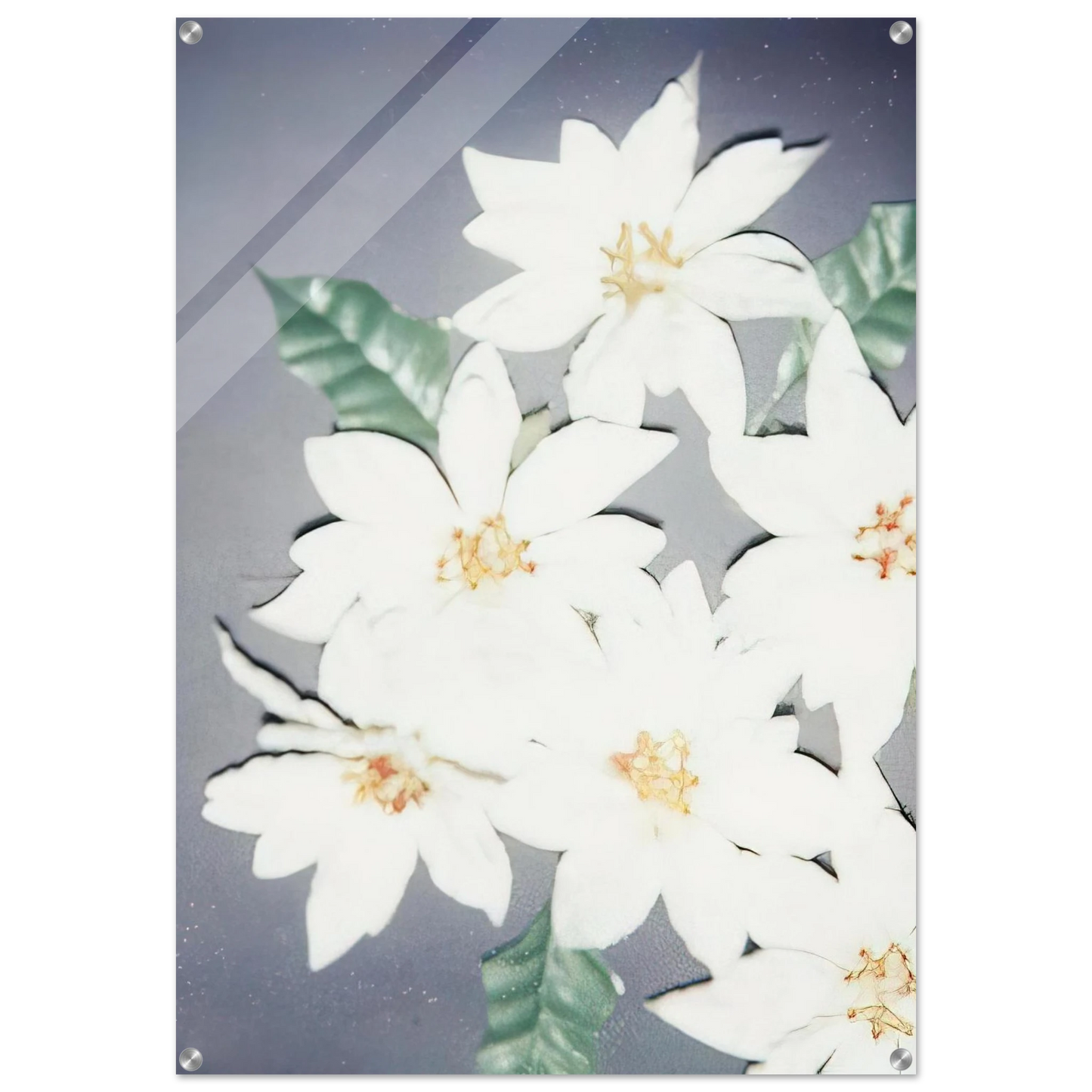 a42ae1e3-89a7-4f1d-b32d-159d628d294a