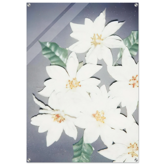 a42ae1e3-89a7-4f1d-b32d-159d628d294a