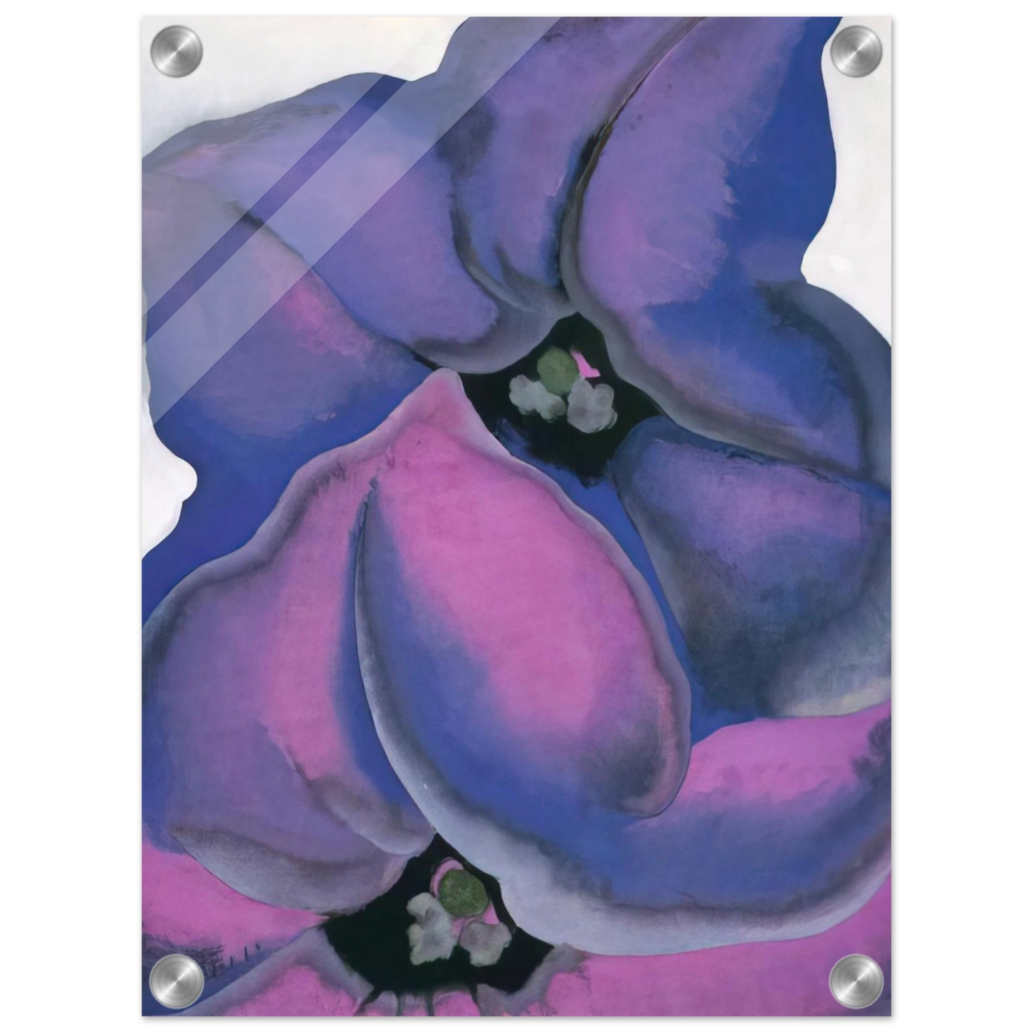 a6df83db-f7a4-4aae-b19a-dac912e60532