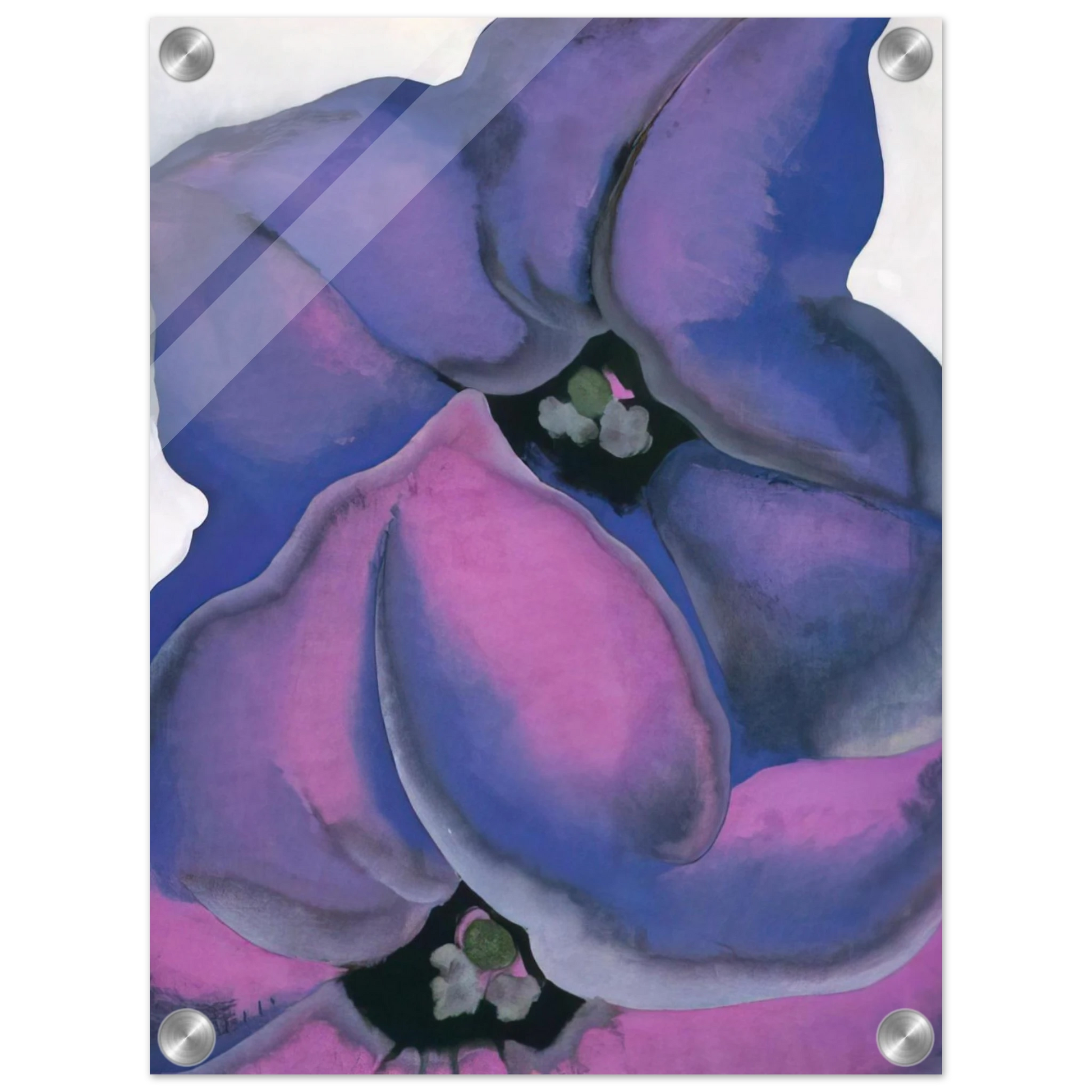 a6df83db-f7a4-4aae-b19a-dac912e60532