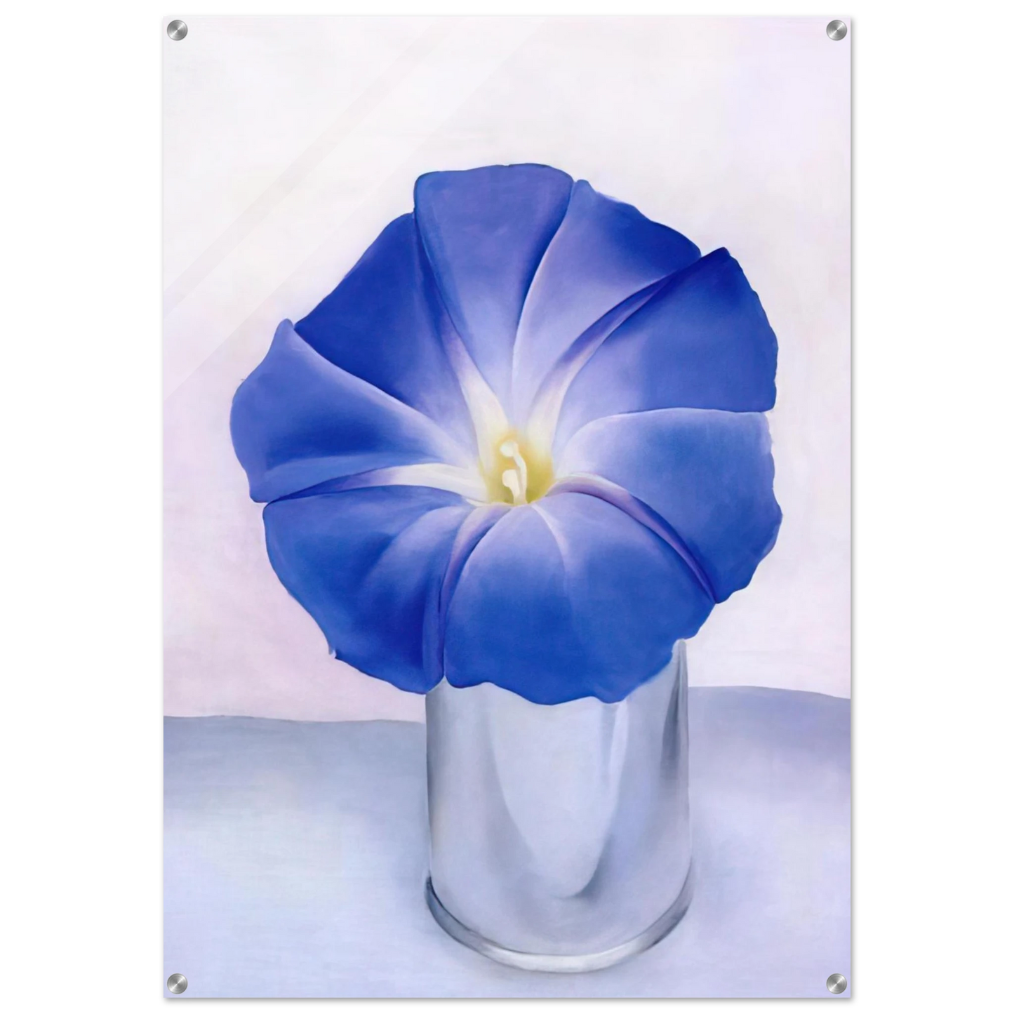 a7969239-1c00-4b22-8cf6-676b7db17ca2