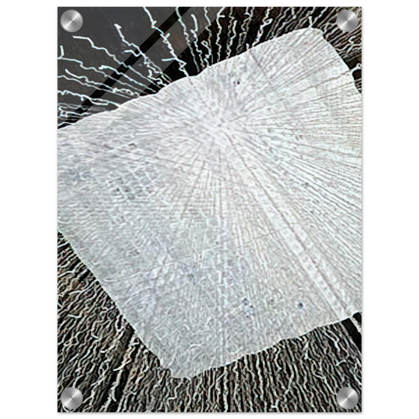 a7a465ad-0ac6-4120-a540-77bc15d38770