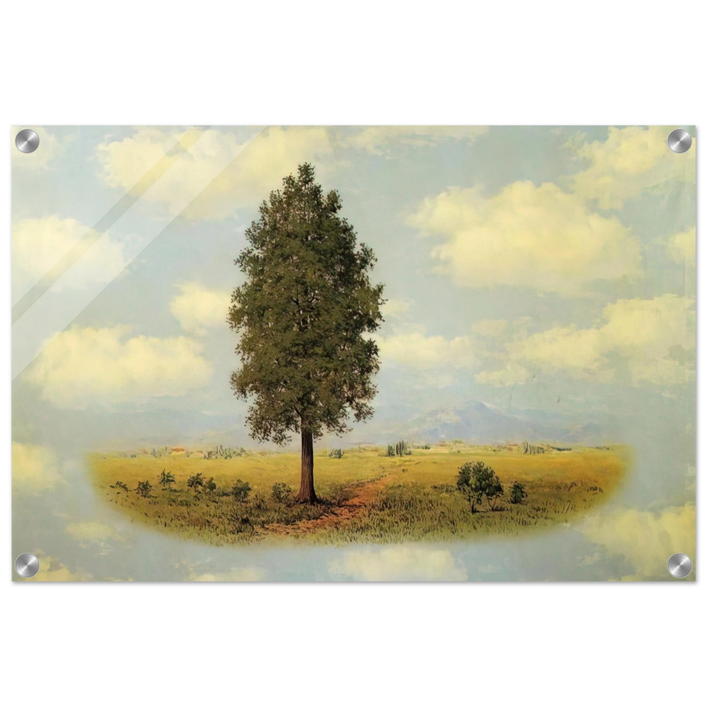 a8d420e5-e559-4144-89ca-318ff991707d