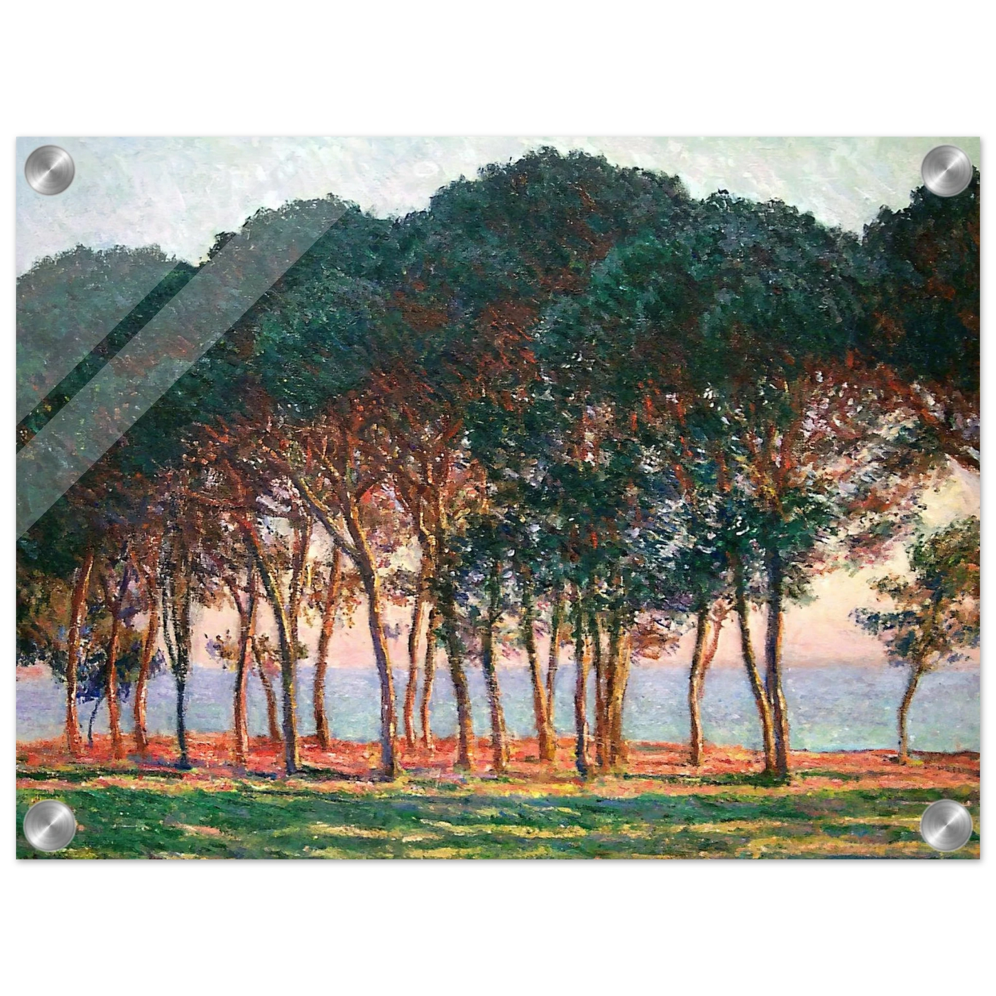 a9cab61e-82ca-444b-925f-d36b1d625b61