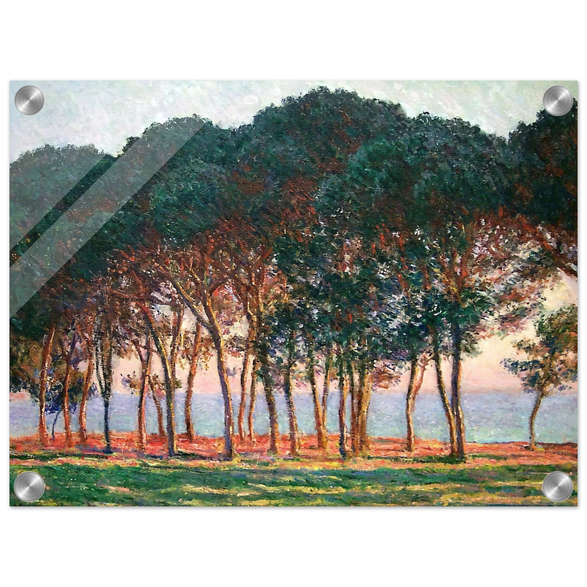 a9cab61e-82ca-444b-925f-d36b1d625b61