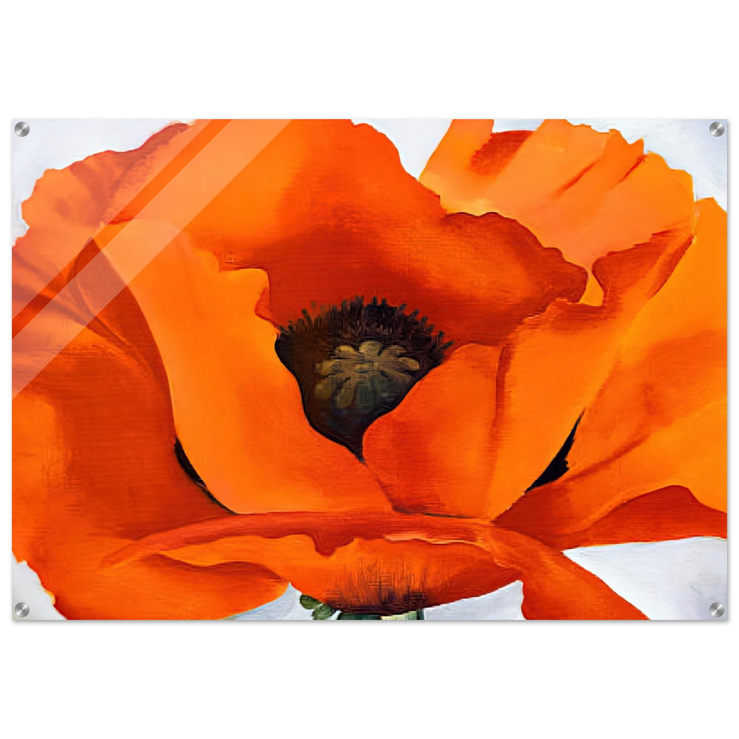 ac0b107f-dafb-4d13-bd44-09d247322339