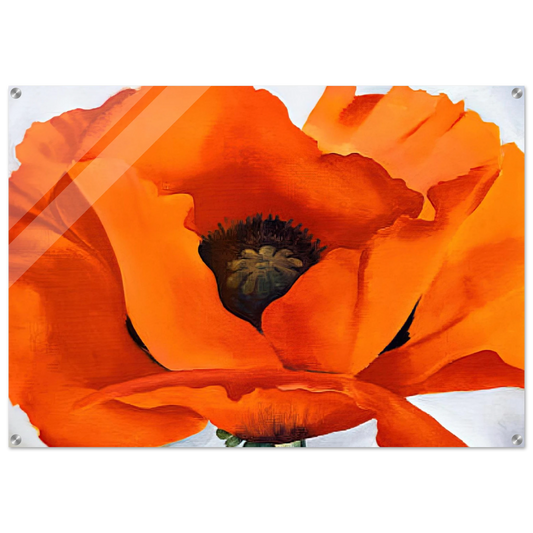 ac0b107f-dafb-4d13-bd44-09d247322339