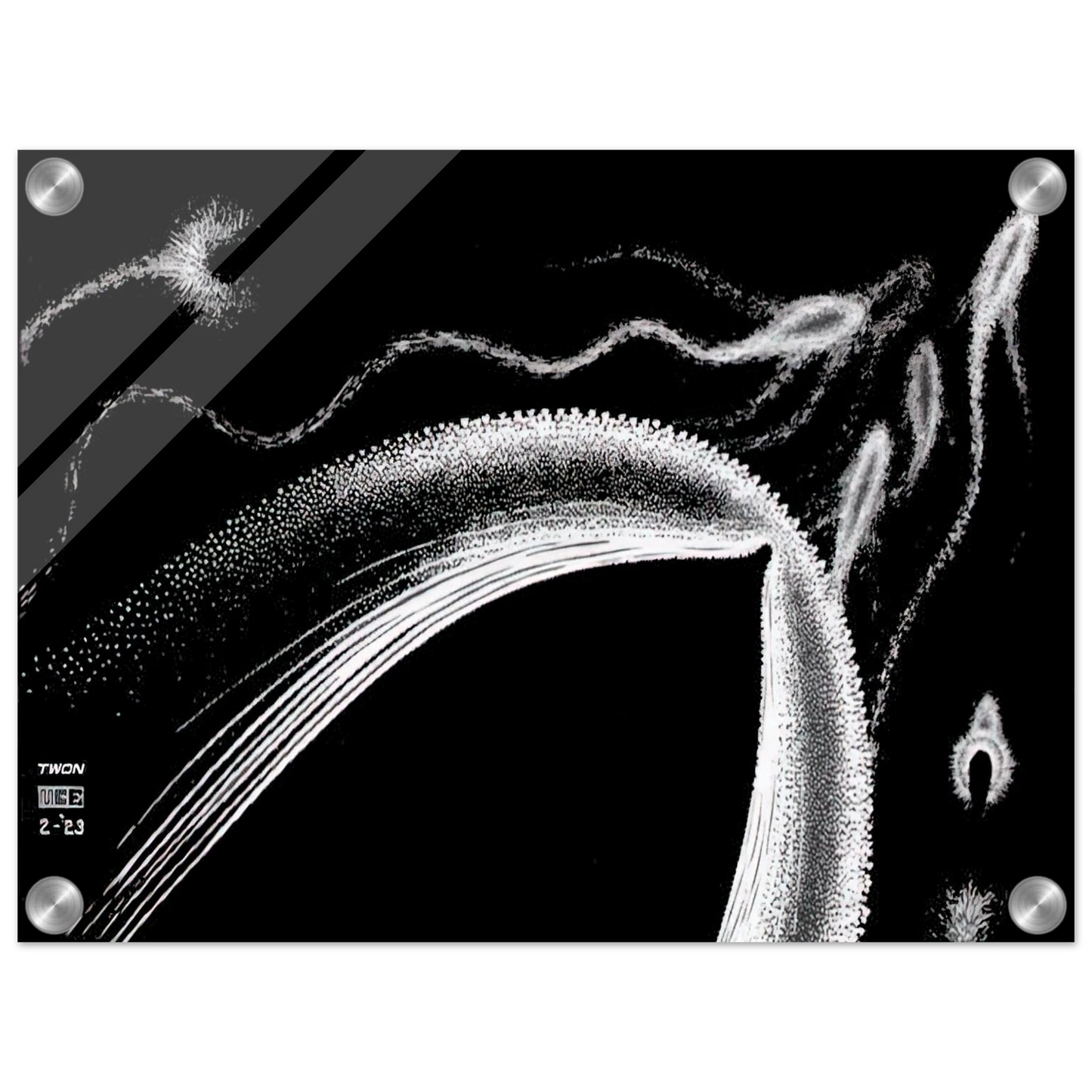 ad049698-594a-4d86-a9fc-4389ba899374