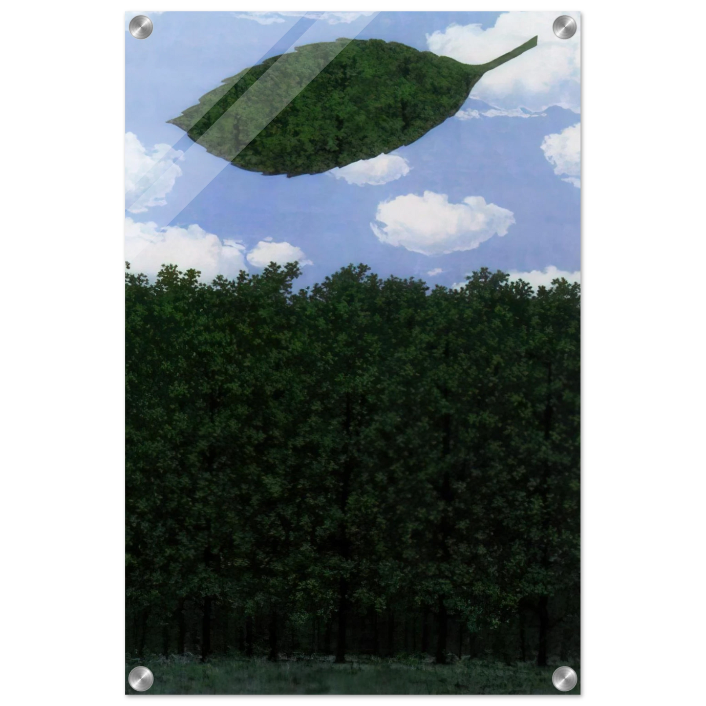 b00f2071-bfa5-4e70-b0a8-7d468ccc9152