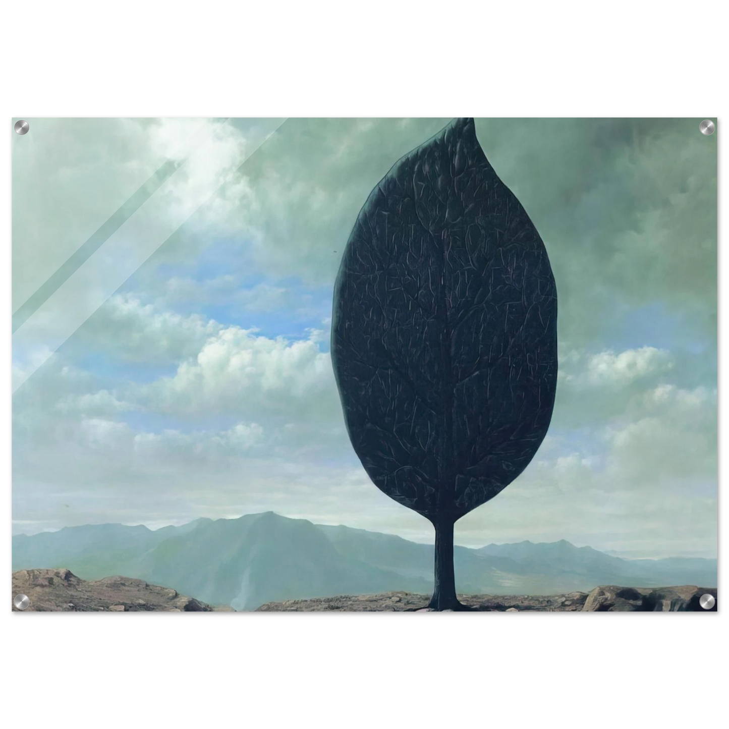 b0d47dd1-8b10-4b7b-b7a3-d3e5b682b7cf