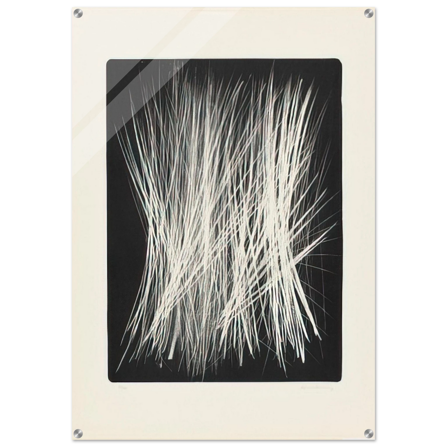 b1683793-b667-420b-81fd-dbfbefc6e681