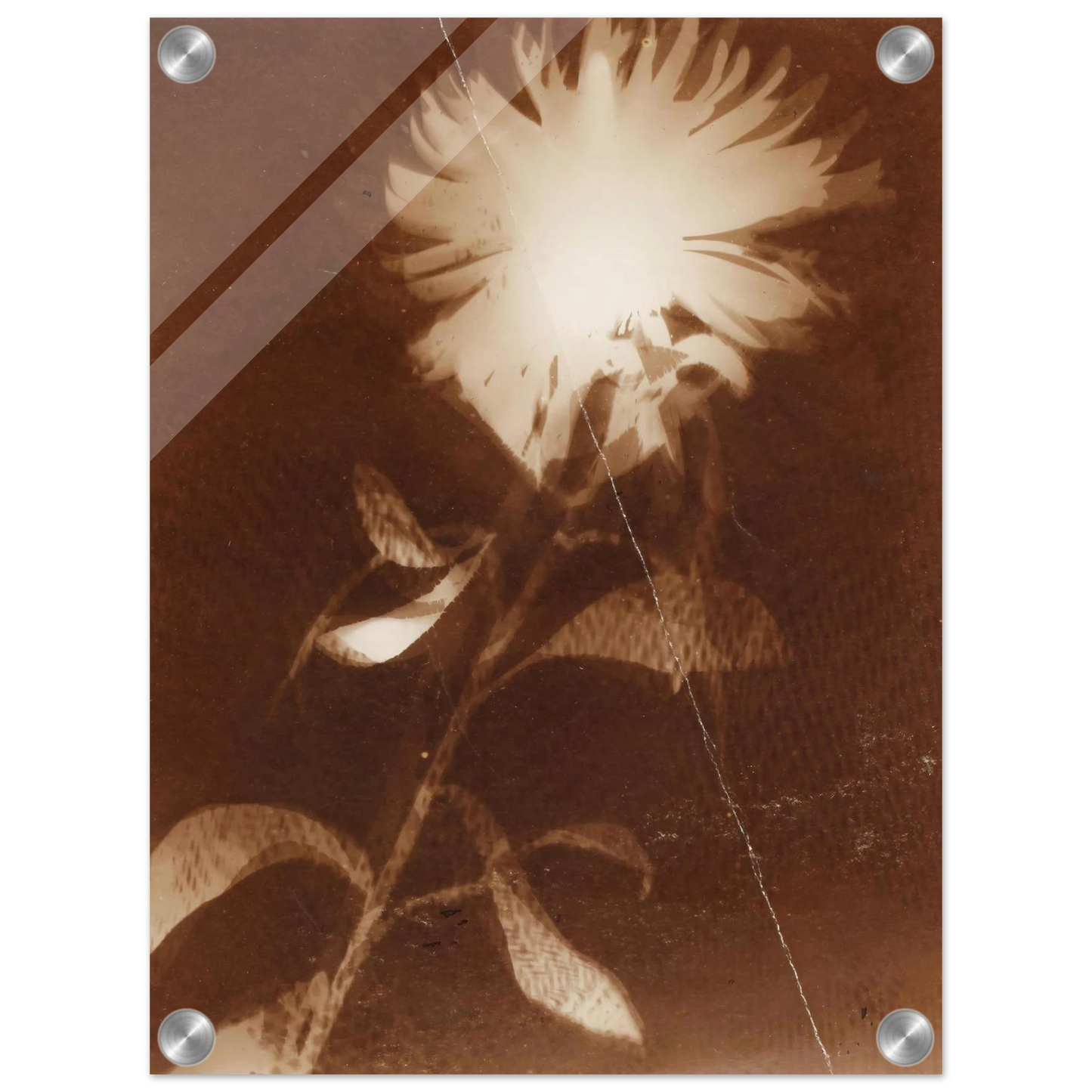 b16a953d-48da-43ef-af79-90b6d8000075