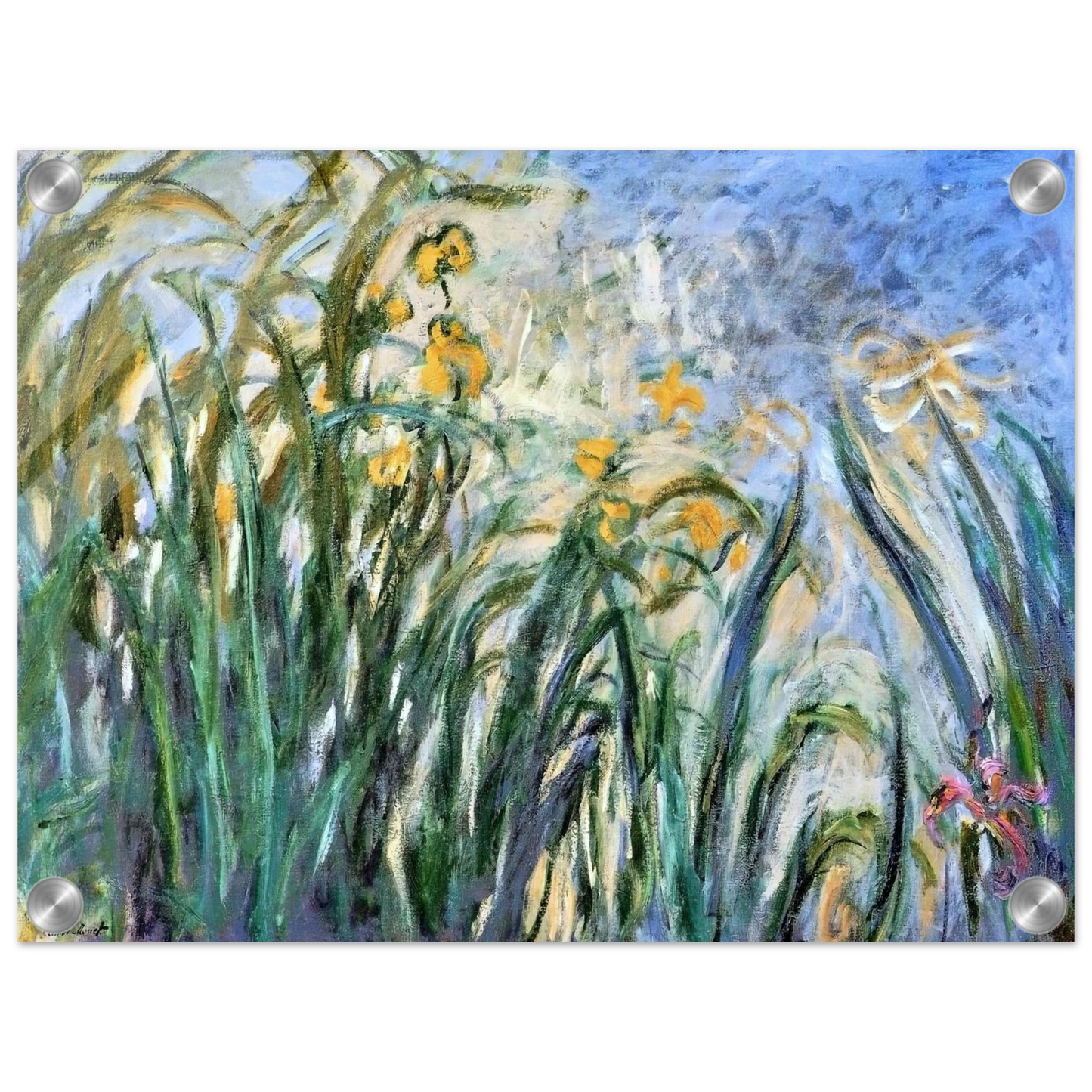 b1a83a98-bfdc-4215-9f1d-eee016a3f007